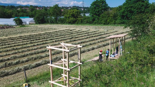 Aigues-Vertes. ALICE. Studios Abenia + Treiber + Bondu + Wegman ©Jamani Caillet / 2021 EPFL