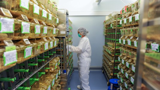 EPFL’s Center of Phenogenomics employs a highly qualified team of animal caretakers © Bruno Marquis