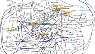 Navigating the Gene Pool Navigating the Gene Pool