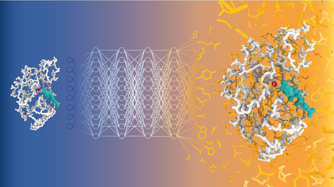 See text for caption. Credit: Alexandra Banbanaste (EPFL)