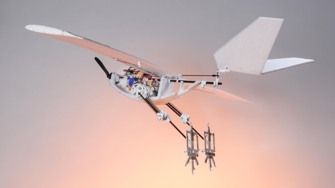 RAVEN (Robotic Avian-inspired Vehicle for multiple ENvironments) © Alain Herzog CC BY SA RAVEN (Robotic Avian-inspired Vehicle for multiple ENvironments) © Alain Herzog CC BY SA