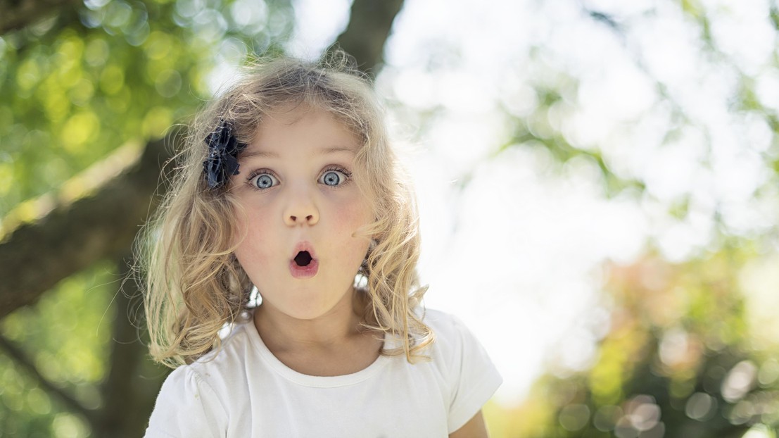 An algorithm can predict how surprise and novelty affect behavior. © iStock An algorithm can predict how surprise and novelty affect behavior. © iStock