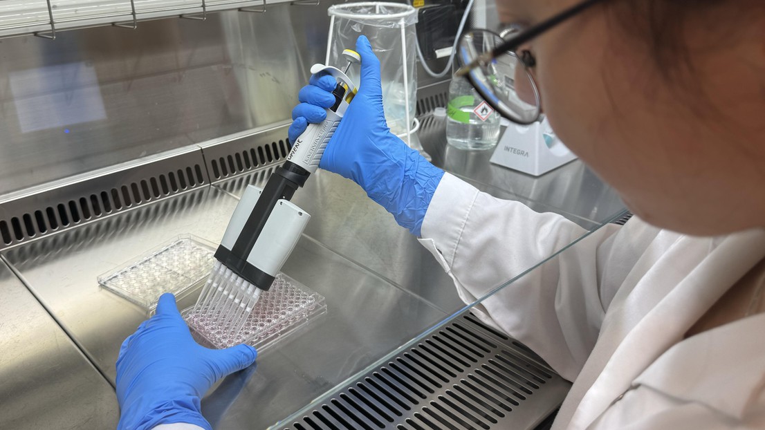Pipetting brain organoids at Fides Zenk's laboratory - 2025 EPFL/Zenk Lab - CC-BY-SA 4.0 Pipetting brain organoids at Fides Zenk's laboratory - 2025 EPFL/Zenk Lab - CC-BY-SA 4.0