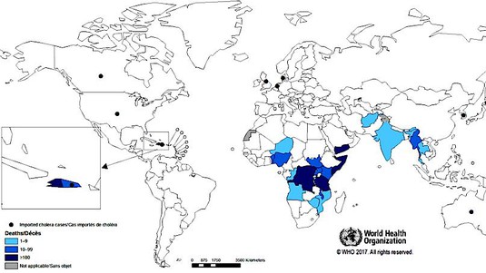 © 2017 World Health Organization