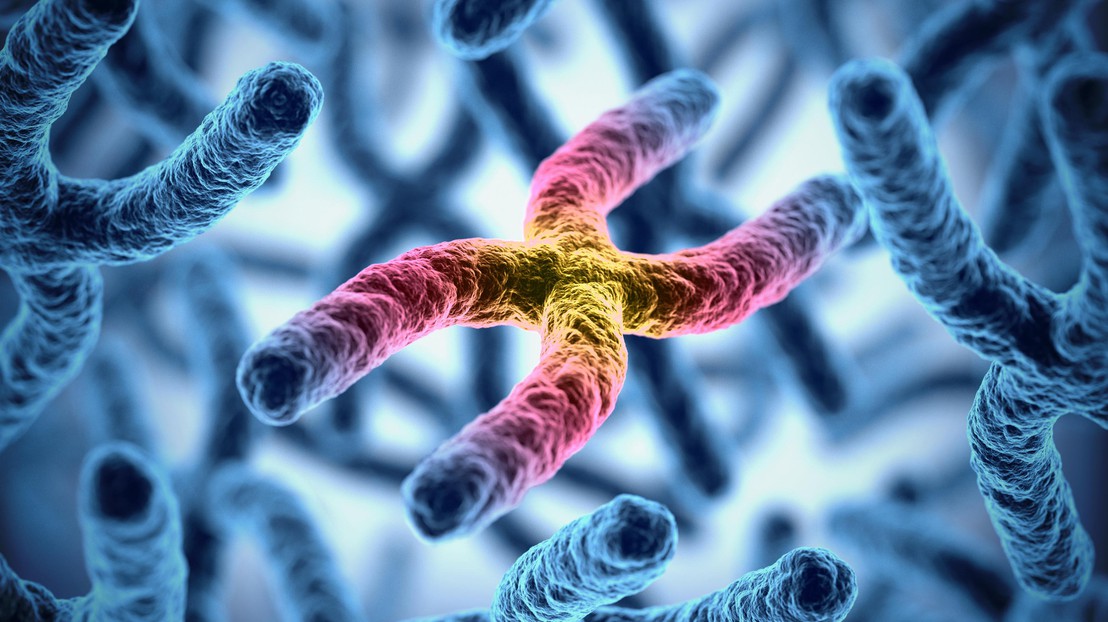 Chromosomes (iStock)