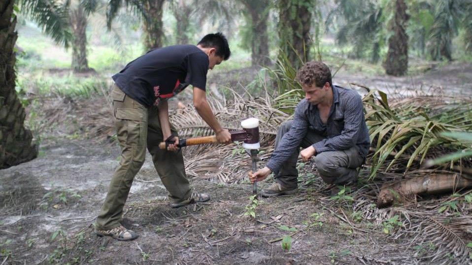 Thomas Guillaume (on the right) collecting samples in Sumatra, Indonesia. © 2018 EPFL/WSL