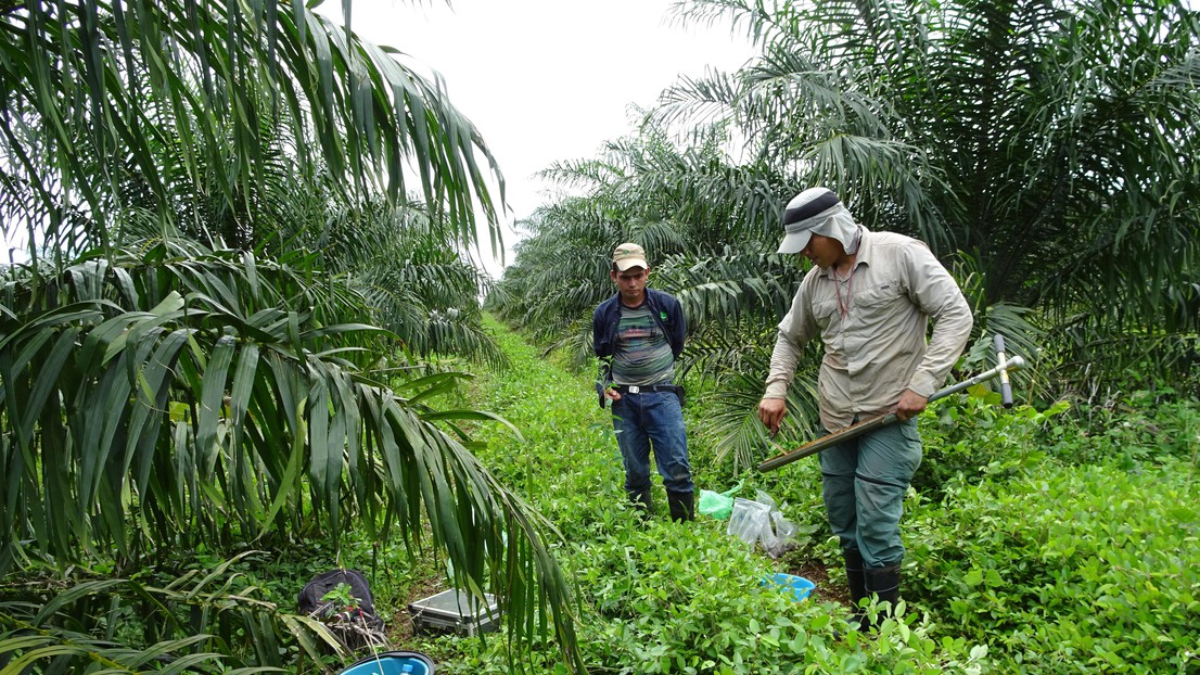 Juan Carlos Quezada collects soil samples in Los LLanos. © WSL/EPFL