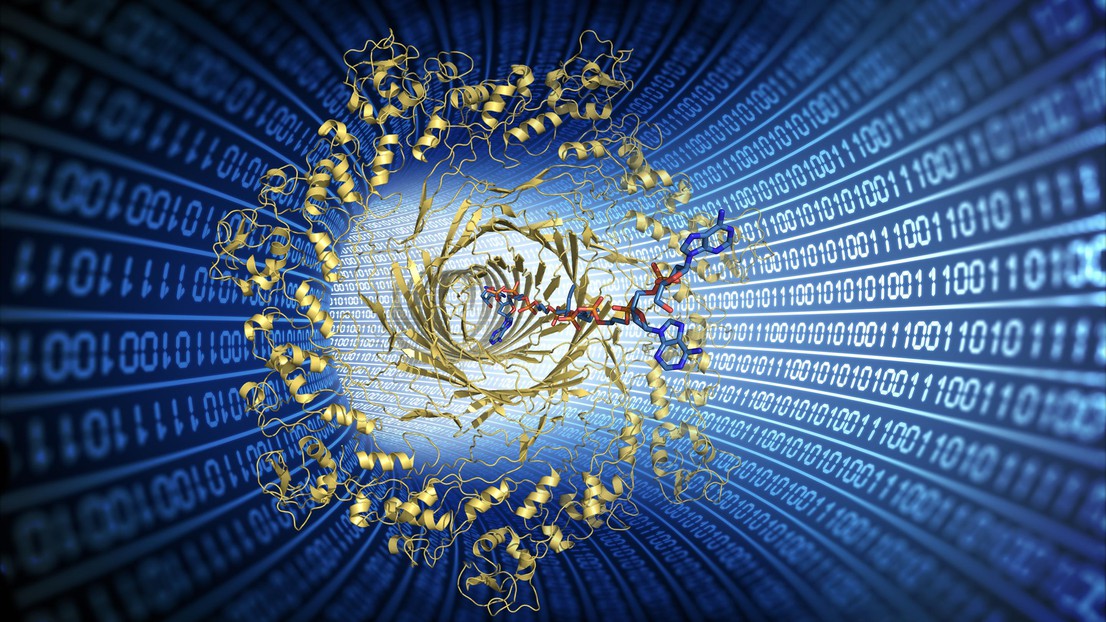 Engineered bacterial pores can decode digital information stored in tailored-made polymers. Credit: Matteo Dal Peraro (aerolysin structure)/iStock (background)